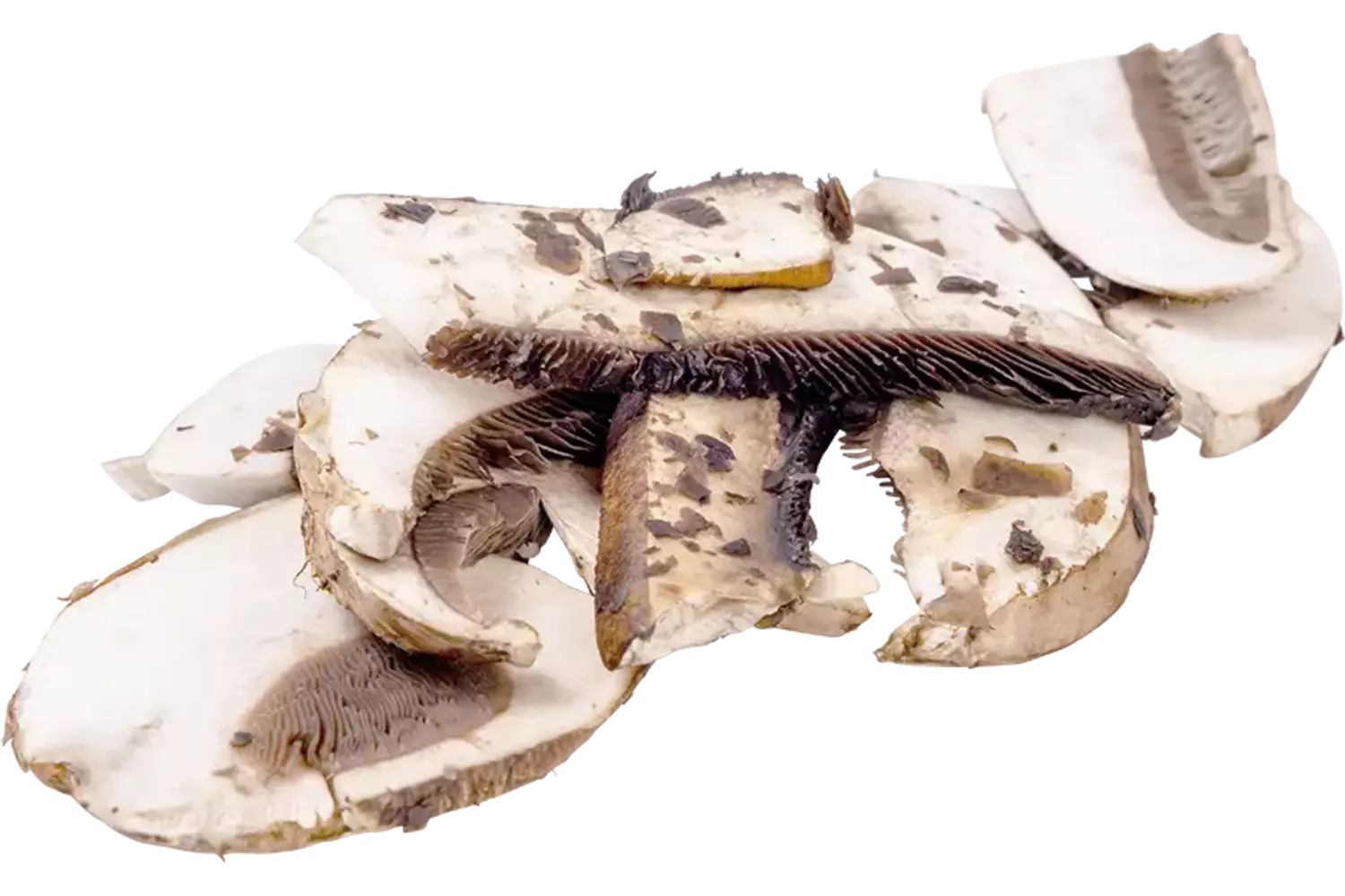 Portobello 8mm bak 1kg stuk 1